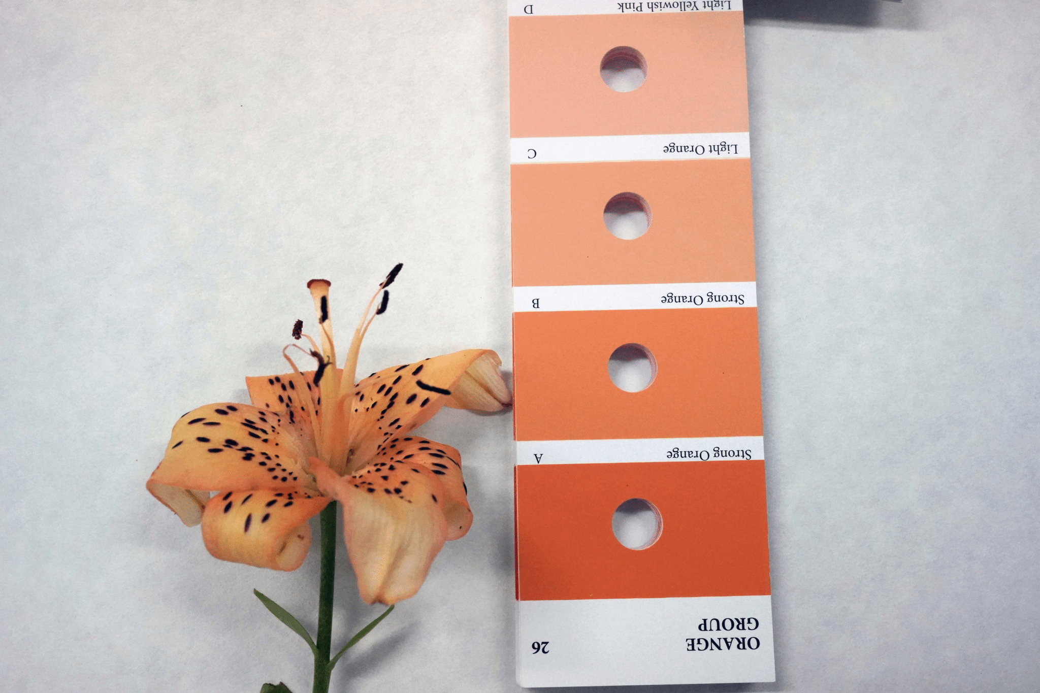 beat365中国官方网站